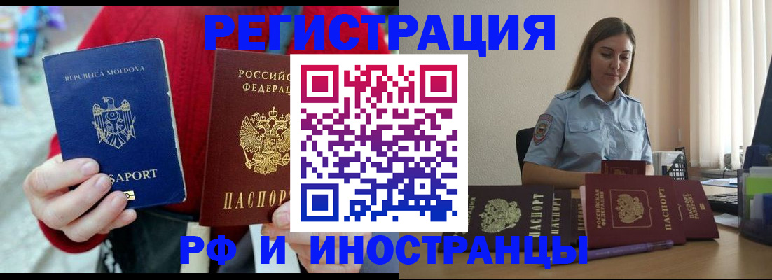 где прописаться в Ельне